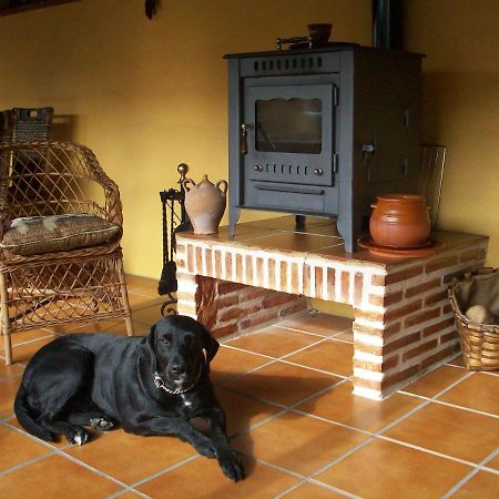 Albergue Estrella Del Camino Frómista Dış mekan fotoğraf