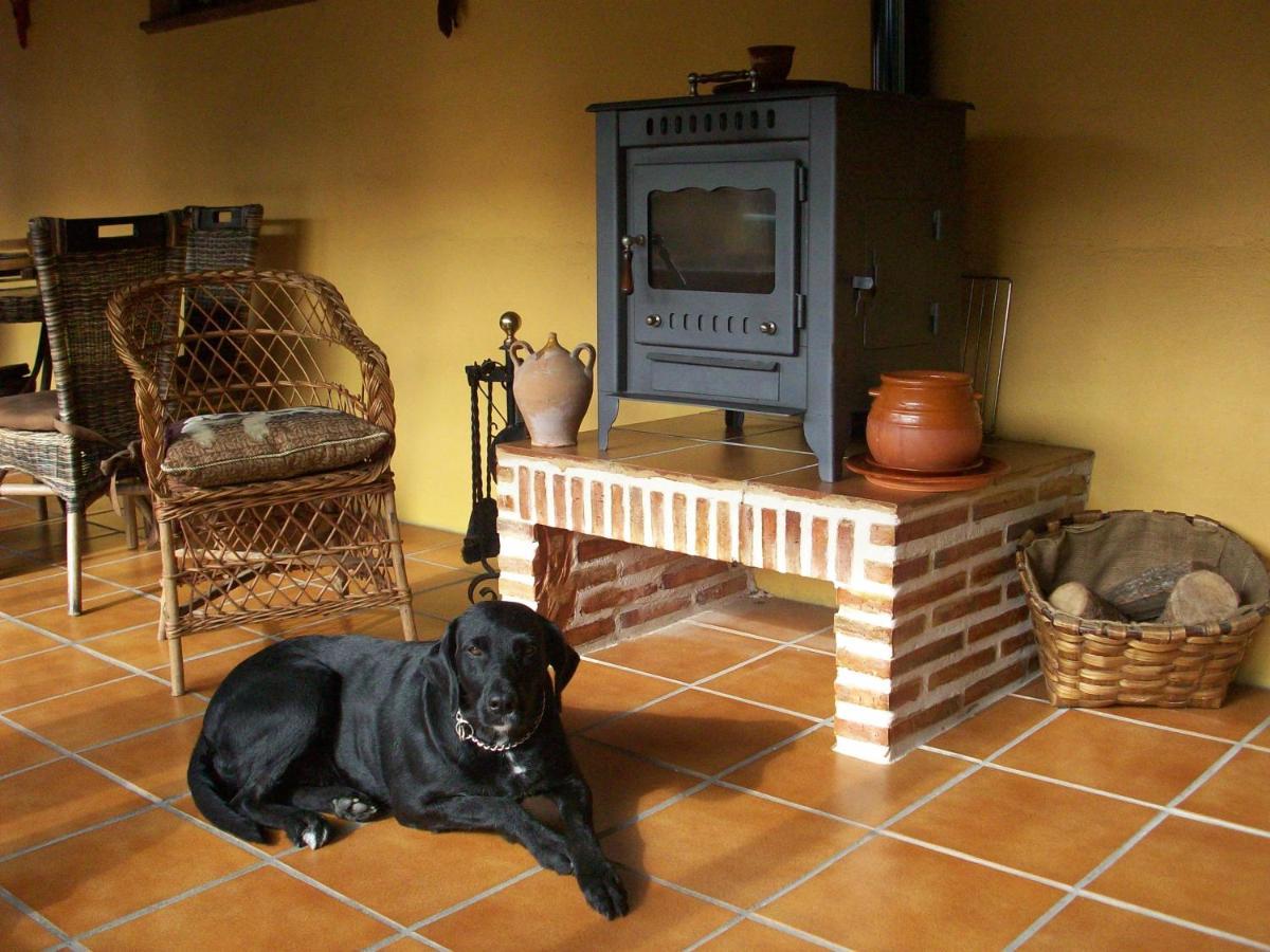 Albergue Estrella Del Camino Frómista Dış mekan fotoğraf